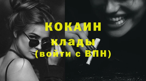 крисы Наволоки