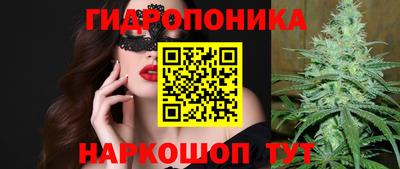 гидропоника Ирбит