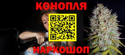 гидропоника Ирбит