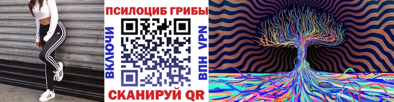 Псилоцибиновые грибы мухоморы  blacksprut маркетплейс  Моздок 