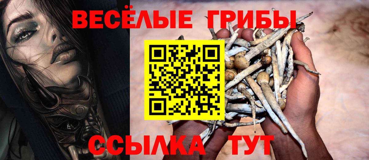 Мефедрон кристаллы  Экстази  Кокаин  НБОМе  Моздок  МАРИХУАНА  ГАШИШ  Вход с VPN  ГАШ  Лсд 25 